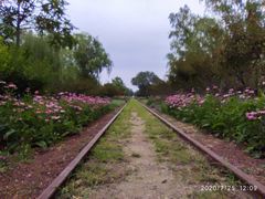 -永定河休闲森林公园
