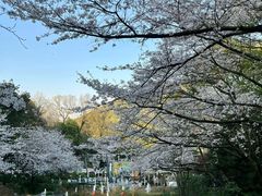 -杭州少年儿童公园