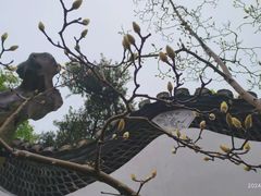 -豫园