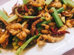 干煸鱿鱼须-昱德来·天津菜(河西店)