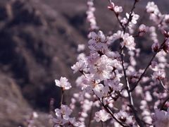 -妙峰山风景名胜区