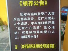-宝通禅寺
