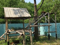 -无锡动物园·太湖欢乐园