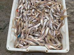 -平湖九龙山庄园圣马可酒店