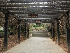 -九龙潭景区