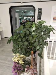 -痘博士昆明·国际祛痘领跑品牌