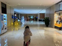 -上海嘉定喜来登酒店