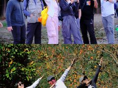 -四明山国家森林公园