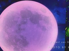 -天津梵高星空艺术馆(天河城旗舰店)