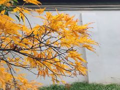 -秋霞圃
