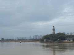 -江心屿景区