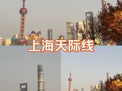-上海和平饭店龙凤厅 Dragon Phoenix