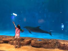 -华夏文旅海洋公园