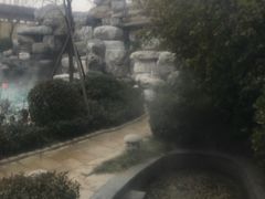 -仁爱团泊湖温泉中心