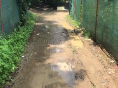 -小蜜蜂团建自助烧烤场(小洲村店)