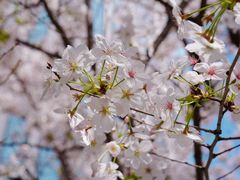 -龙美术馆(西岸馆)