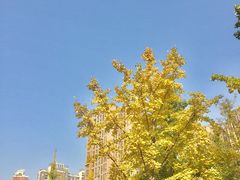 -华润·二十四城