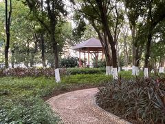 -黄埔荔枝公园