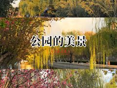 -元大都城垣遗址公园