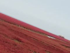 -红海滩国家风景廊道