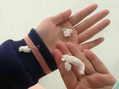 -世界之窗阿尔卑斯冰雪世界
