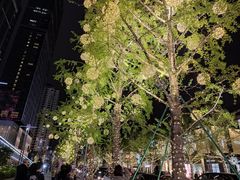 -春熙路步行街