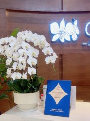 -洁铭新加坡医美