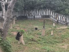 -西安秦岭野生动物园