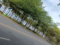 -三亚湾海居铂尔曼度假酒店