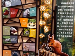 -成都动物园