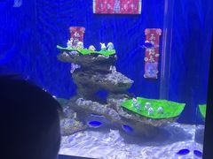 -常州海昌海洋探索馆