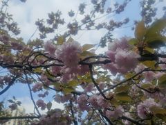 -苏州河梦清园环保主题公园