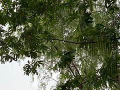 -同里国家湿地公园