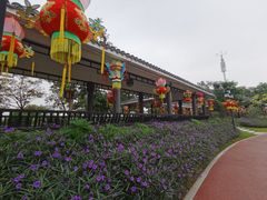 -映月湖公园