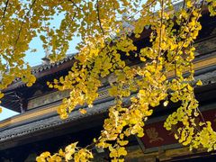 -西园戒幢律寺