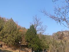-白水寺森林公园