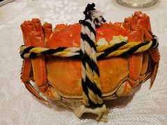 -昆山皇冠国际会展酒店