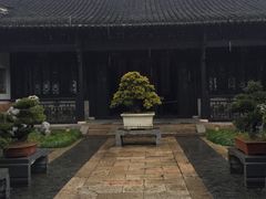 -绮园景区