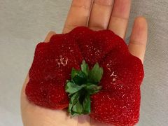 -油麻地果栏