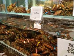 -超级物种·波龙工坊(国贸店)