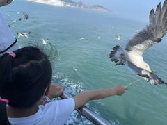 -海驴岛(荣成市)
