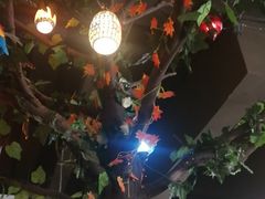 大堂-海梦1924 coffee