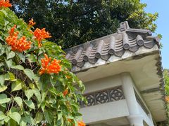 -西樵山风景名胜区-天湖公园