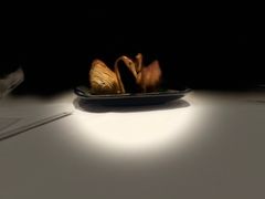 -广州白天鹅宾馆