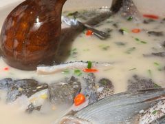 -老傅家湘潭水煮活鱼店(众一国际店)