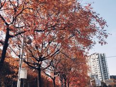 -仲盛世界商城