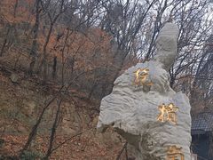 -抱犊崮国家森林公园