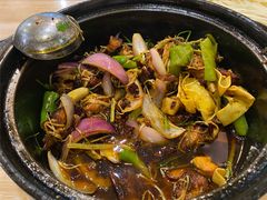 -清真重庆巴爷香辣鸡煲(南小巷店)