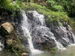 -呀诺达热带雨林