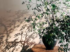 -隐溪茶馆(静安寺店)